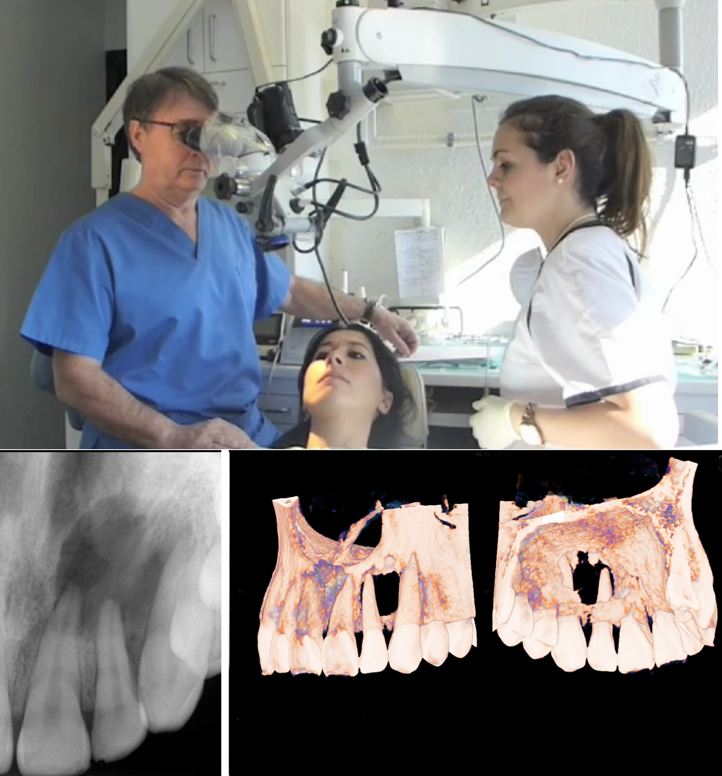 Los dentistas de la provincia tinerfeña analizan el éxito y el fracaso
